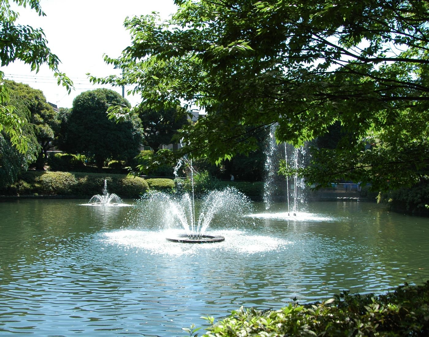 🌳 스기나미 구립 묘쇼지 공원(스기나미쿠리츠 묘쇼지코엔) 이미지 1